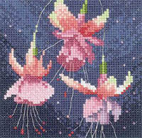 Mini Flowers - Fuchsias