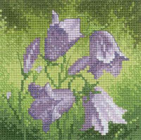 Mini Flowers - Harebell