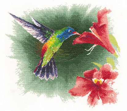 Flights of Fancy - Hummingbird In Flight