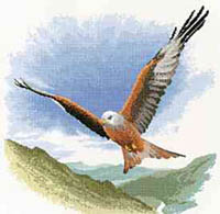 Flights of Fancy - Red Kite In Flight