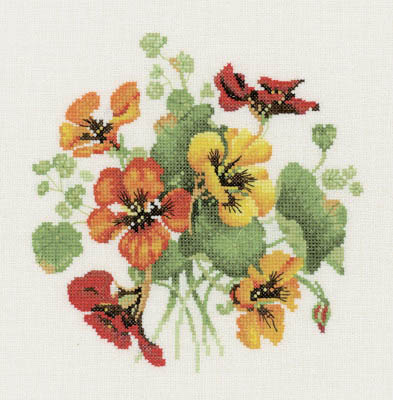 Posies - Nasturtium Posy