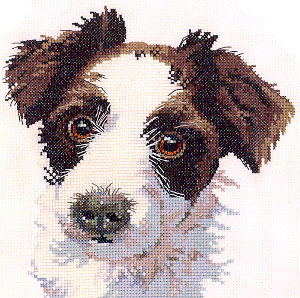 Dog Portraits - Scruff