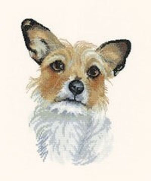 Dog Portraits - Jessie                             