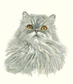 Cat Portrait - Misty                              