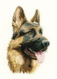 Cash - Animal Portrait Kit