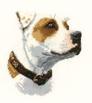 Dog Portrait - Ruby