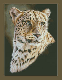Persian Leopard