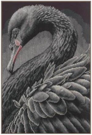 Black Swan Kit