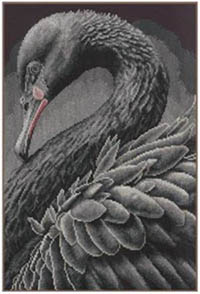 Black Swan Kit