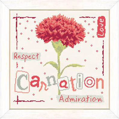 Carnation