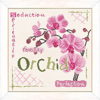 Orchid