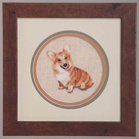 Little Foot - Welsh Corgi