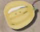 nh1001 Gooseberry - Just Another Button Co