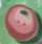 nh1010 Coral Berry - Just Another Button Co