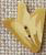 nh1059 Yellow Tulip - Just Another Button Co