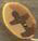 nh1061 Gold Elm Leaf - Just Another Button Co