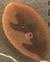 nh1062 Orange Elm Leaf - Just Another Button Co