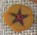 nh1073 Williams Gold 5 Petal Flower - Just Another Button Co