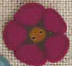 nh1075 Wiliams Red 5 Petal Flower - Just Another Button Co