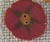 nh1075 Wiliams Red 5 Petal Flower - Just Another Button Co