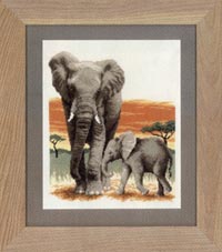 Elephant's Journey Kit