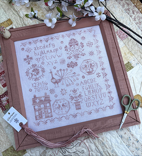 Pink Peacock Sampler