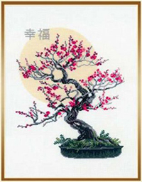 Bonsai Pine Wish Well Being Kit