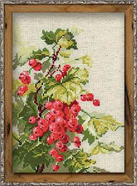 Red Currant Kit