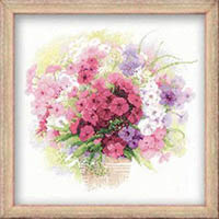 Watercolour Phlox Kit