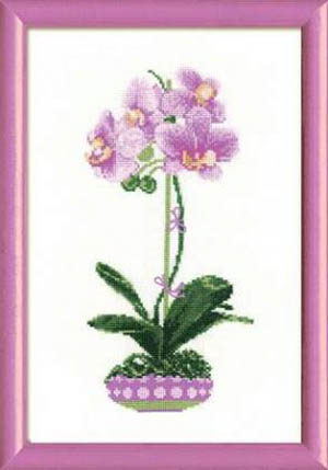 Lilac Orchid Kit