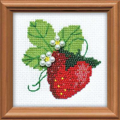 Garden Strawberry Kit