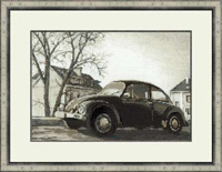 The Beetle Kit