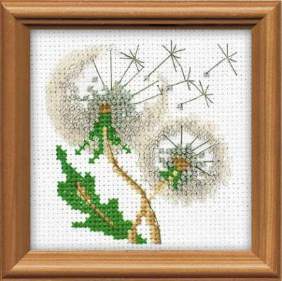 Dandelion Seeds Kit