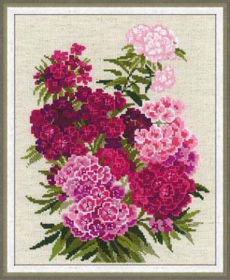 Sweet William Kit
