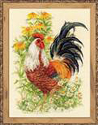 Rooster Kit