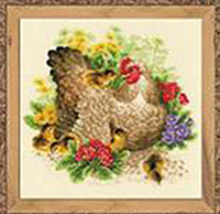 Hen Kit
