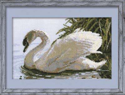 Female Swan Kit