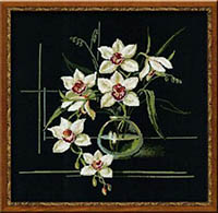 White Orchid Kit