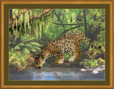 Leopard Near the Water Kit