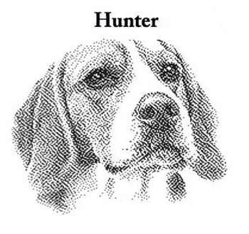 Dogs - Hunter