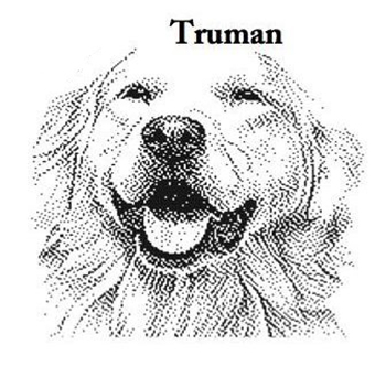 Dogs - Truman