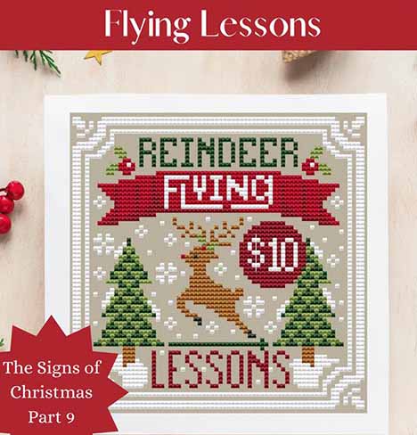 Signs of Christmas Flying Lessons